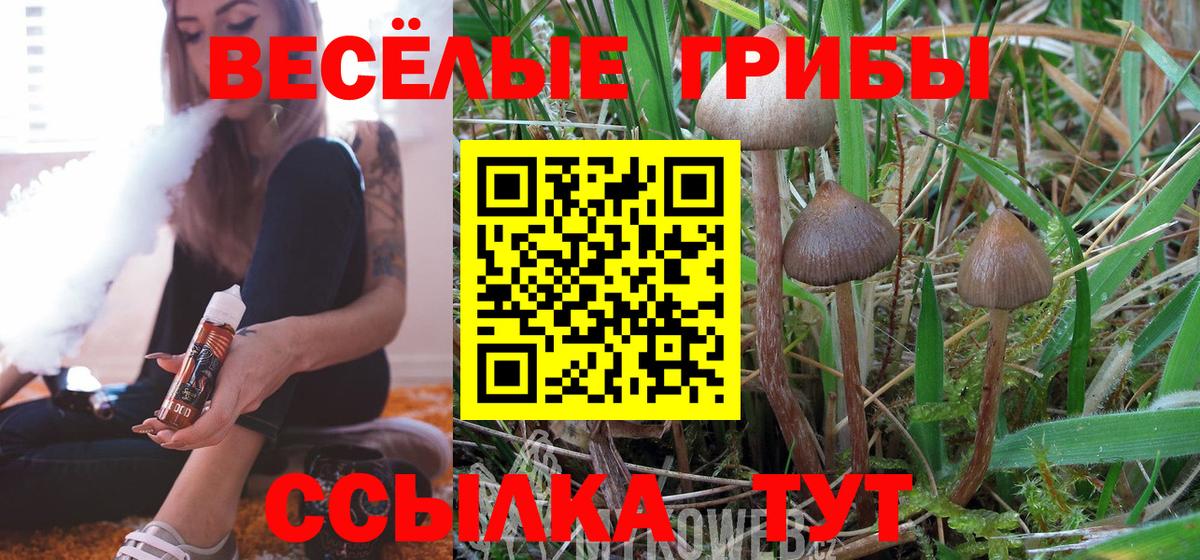 Амфетамин Владимир
