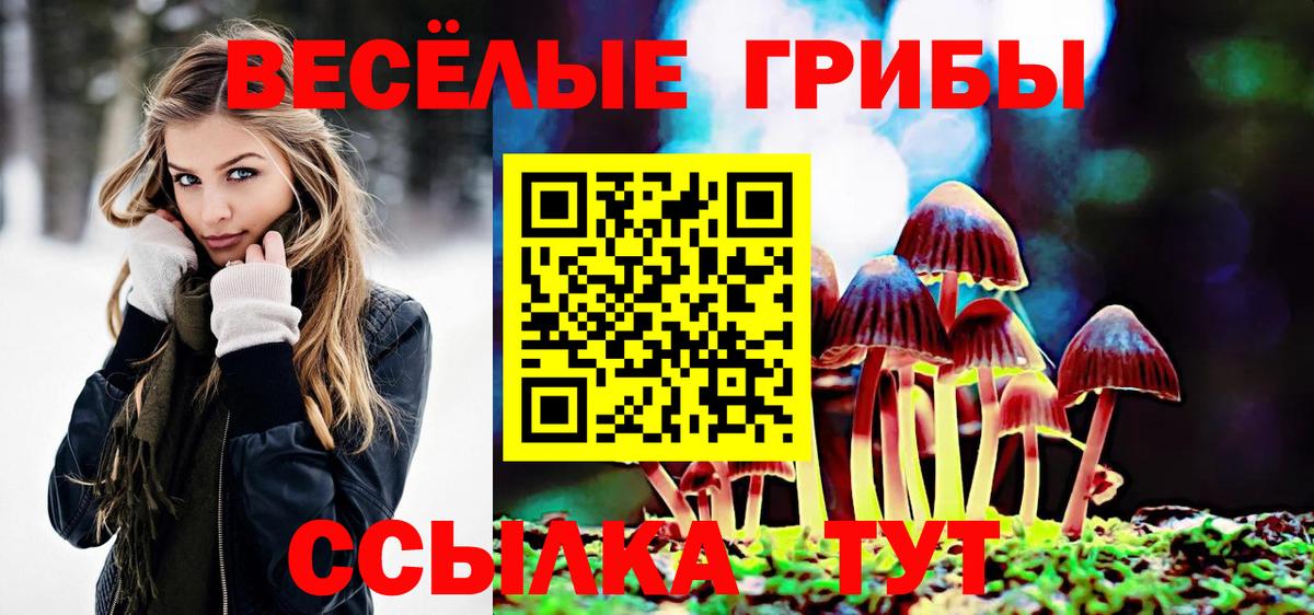 Владимир  Галлюциногенные грибы прущие грибы  Вход с VPN 