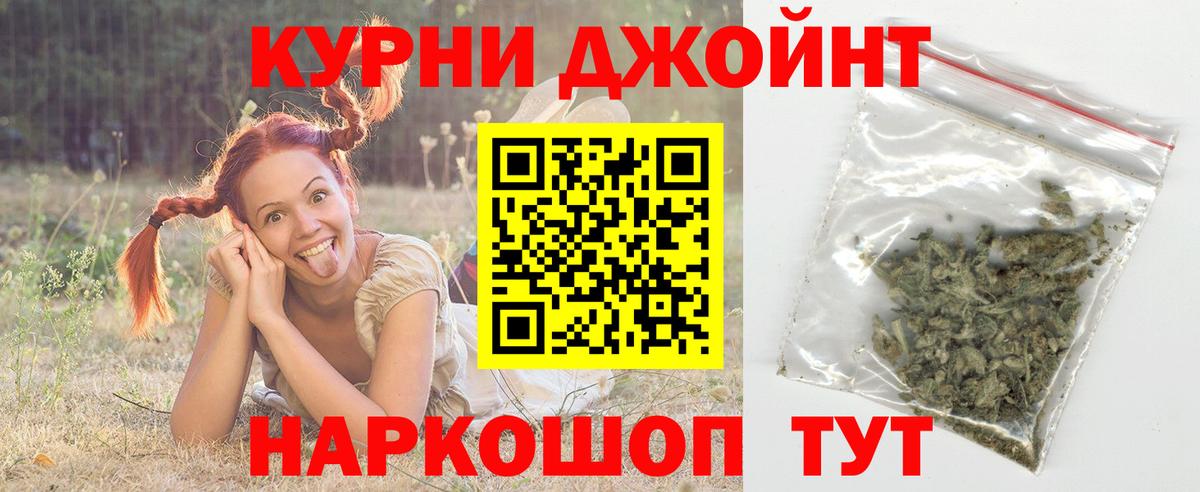 Канабис гибрид Владимир